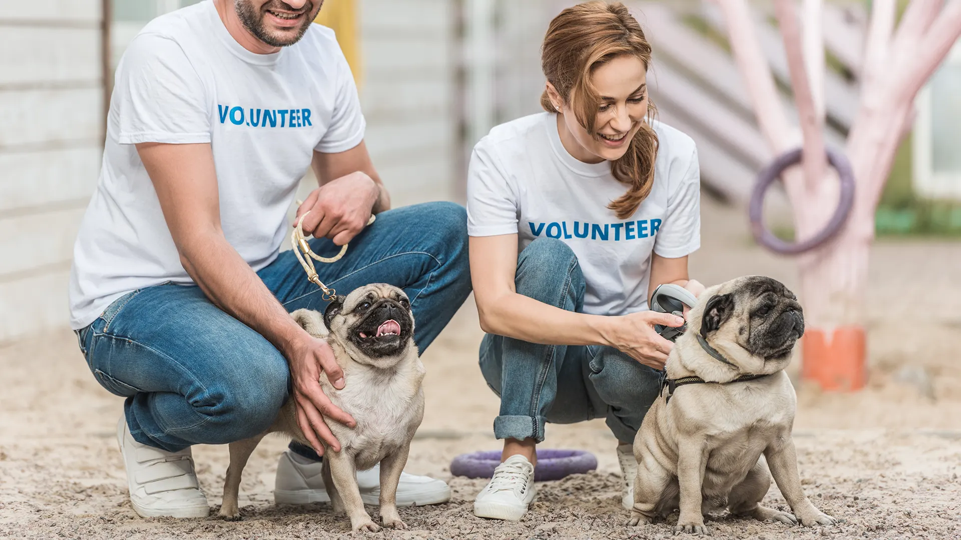 Fostering & Temporary Homing
