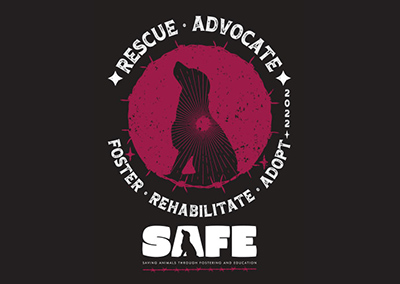 SAFE Fostering Network